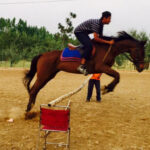Shreejee International School, horseriding